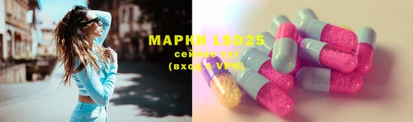 ECSTASY Белокуриха