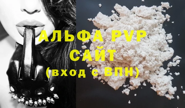 ECSTASY Белокуриха